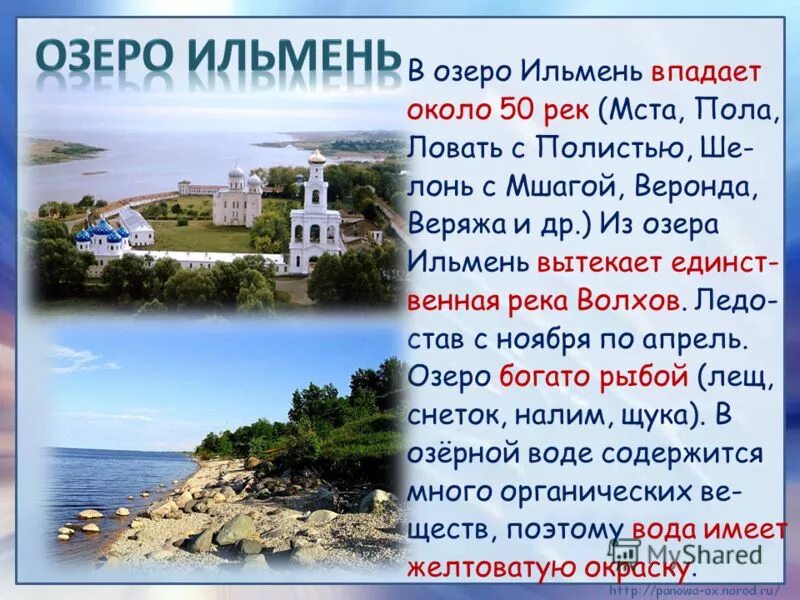 происхождение озера ильмень. озеро ильмень. озеро ильмень доклад. ильмень озёра россии. происхождение озера ильмень.