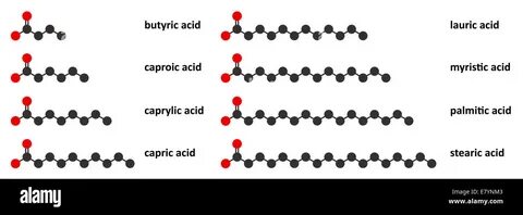 Caprylic capric triglyceride что это