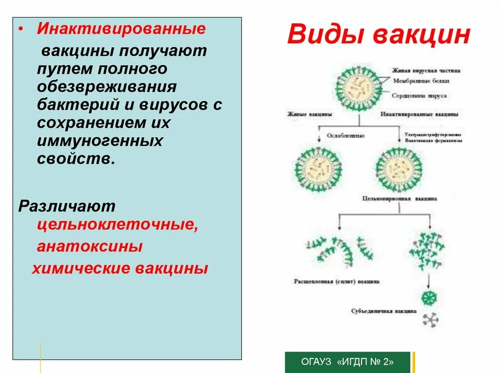 Живые вакцины относятся к классу. Классификация вакцин схема. Классификация инактивированных вакцин. Метод получения вакцин микробиология. Классификация вакцин микробиология.