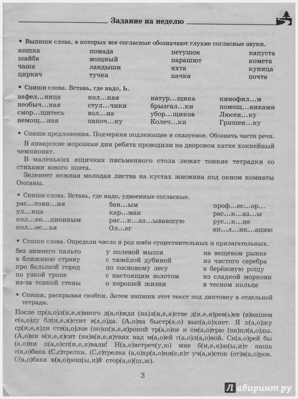 Русский язык 4 класс задания на лето