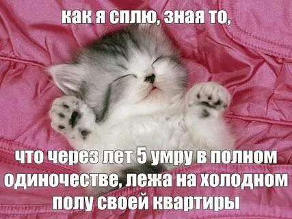 Спокойной ночи анечка