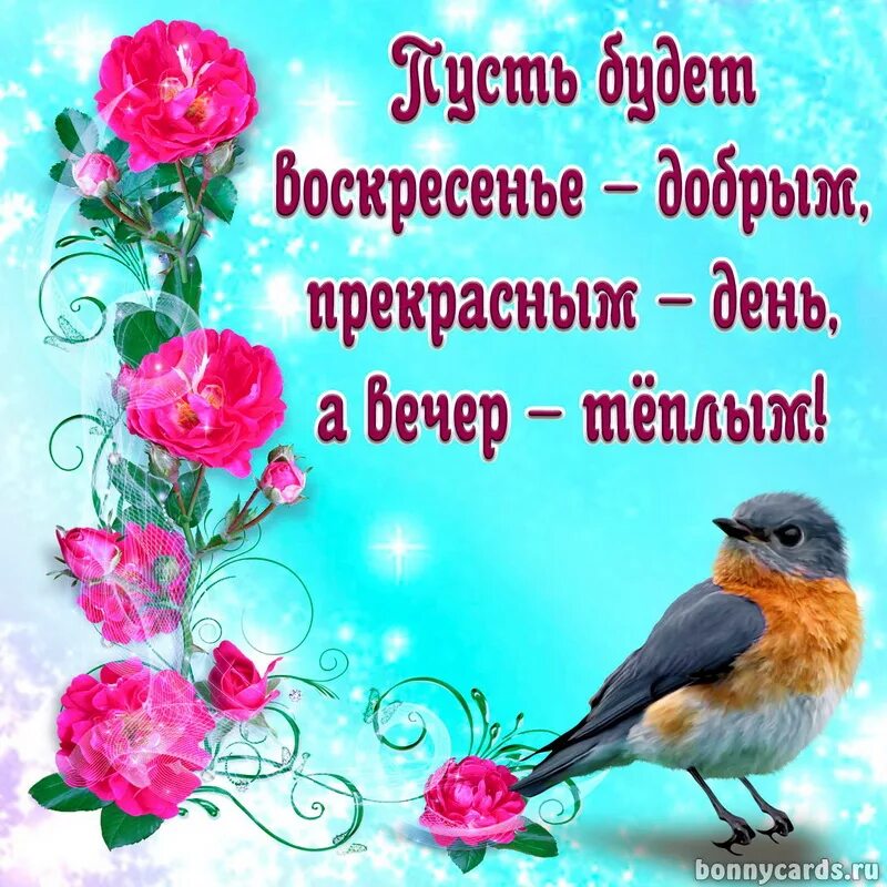 Доброе утро весеннего воскресенья картинки с пожеланиями. Воскресенье картинки. поздравление с воскресеньем. открытки с добрым днём воскресенья. хорошего воскресного дня.