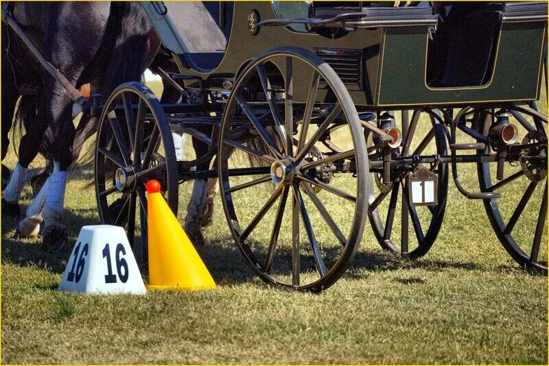 Драйвинг империя в роблоксе. Драйвинг эмпайр. Driving empire roblox. Карта driving empire roblox. Driving empire codes 2022.