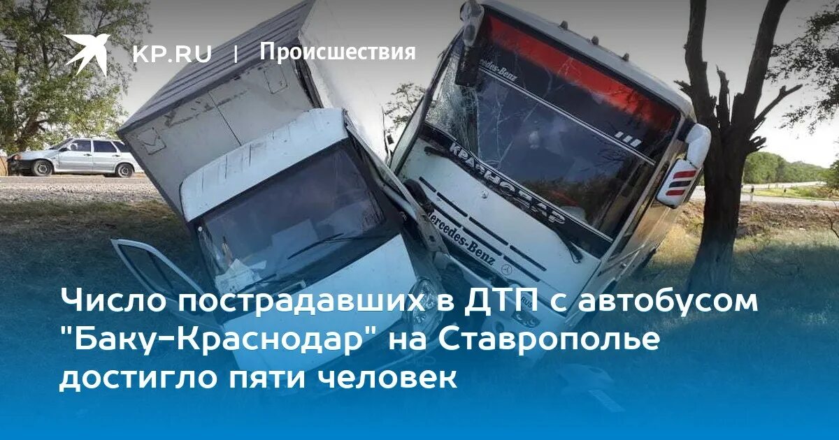 Буденновск краснодар. Буденновск Краснодар автобус. Маршрутка Буденновск Краснодар. Поездки в Краснодар из Буденновска. Икарус автобус ДТП на Ставрополье.