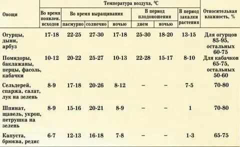 При какой температуре открывать теплицу с помидорами. При какой температуре открывать теплицу с помидорами