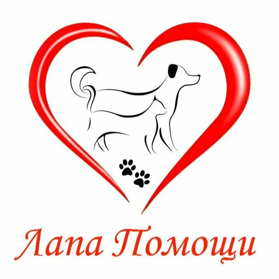 Чит помощь животным. Помощь бездомным животным. благотворительность для животных. рисунок благотворительность для животных. благотворительность помощь животным.