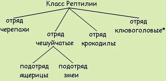 Таблица рептилий 7 класс. Отряды пресмыкающихся. Многообразие пресмыкающихся. Характеристика отрядов пресмыкающихся. Класс пресмыкающиеся классификация.