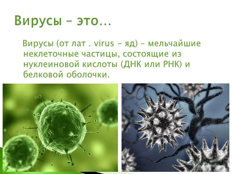 Царство вирусов 5 класс биология. Свойства вирусов. Царства живой природы вирусы. Информация о вирусах. Презентация на тему вирусы.