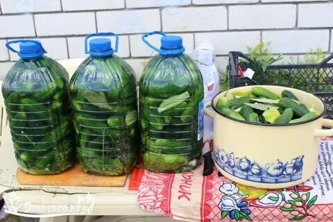Огурцы в пластиковых бочках