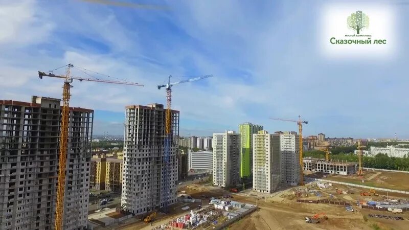 Жк сказка. 150 московская лесное. Еловые леса подмосковья. Жилой комплекс в лосином острове сказочный лес. Жк светлый мир сказочный лес.