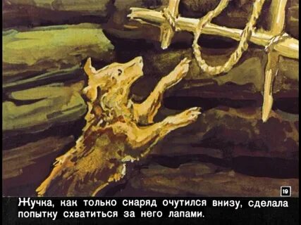 Михайловский жучка