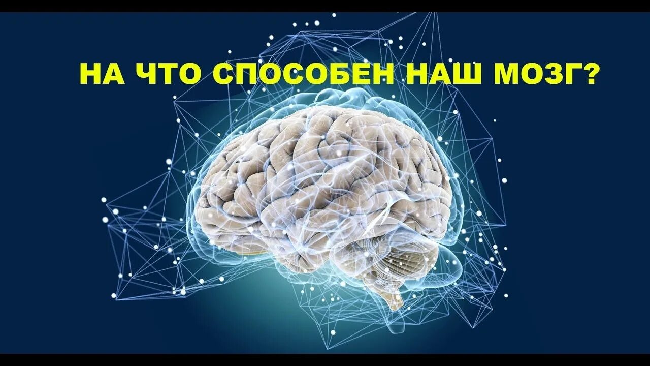 Ученые о мозге человека