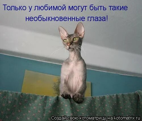 Только у любимой могут быть необыкновенные глаза. Только у любимой могут быть необыкновенные глаза. Песня только у любимой могут быть такие необыкновенные глаза слушать. Дятлов поёт аукцион. Только у любимой могут быть такие необыкновенные глаза.