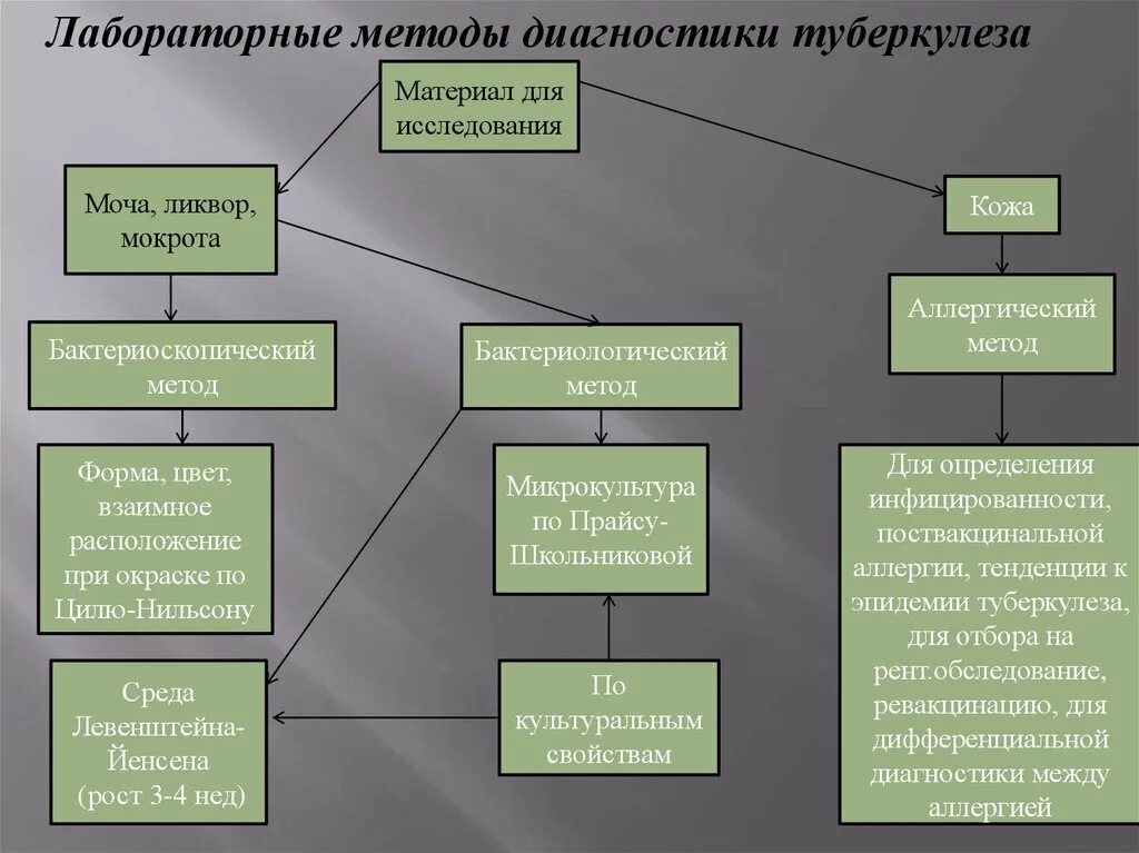 Какой основной метод выявления туберкулеза. Какой основной метод выявления туберкулеза