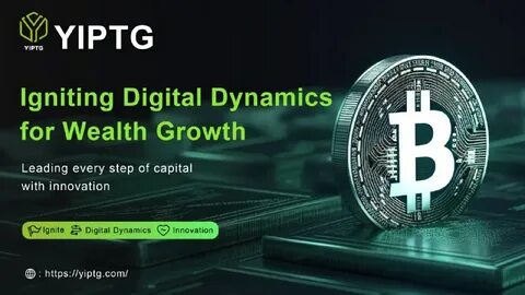 Yiptg отзывы