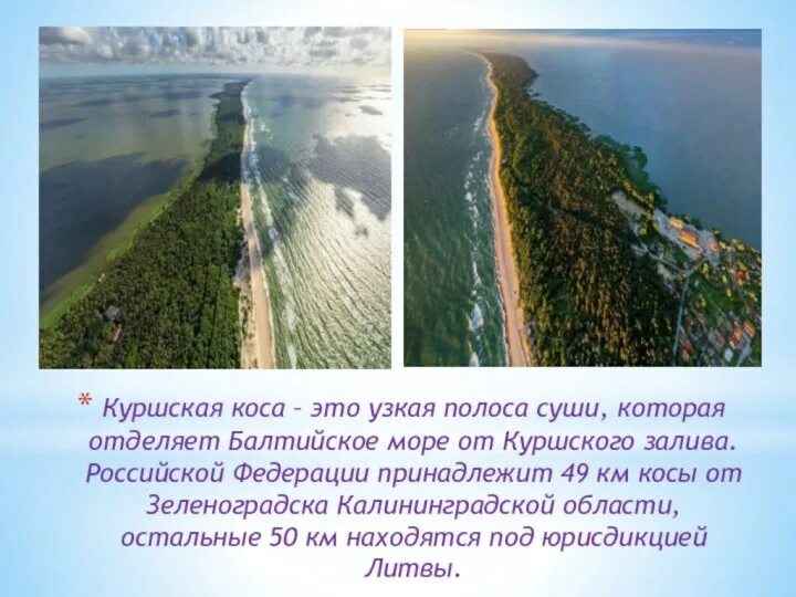 Сообщение про куршскую косу