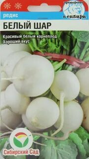 Сиб шар