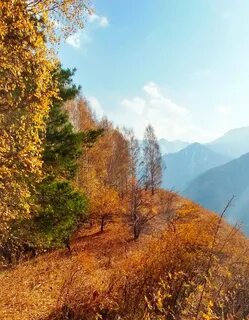 Осень в горах стихи