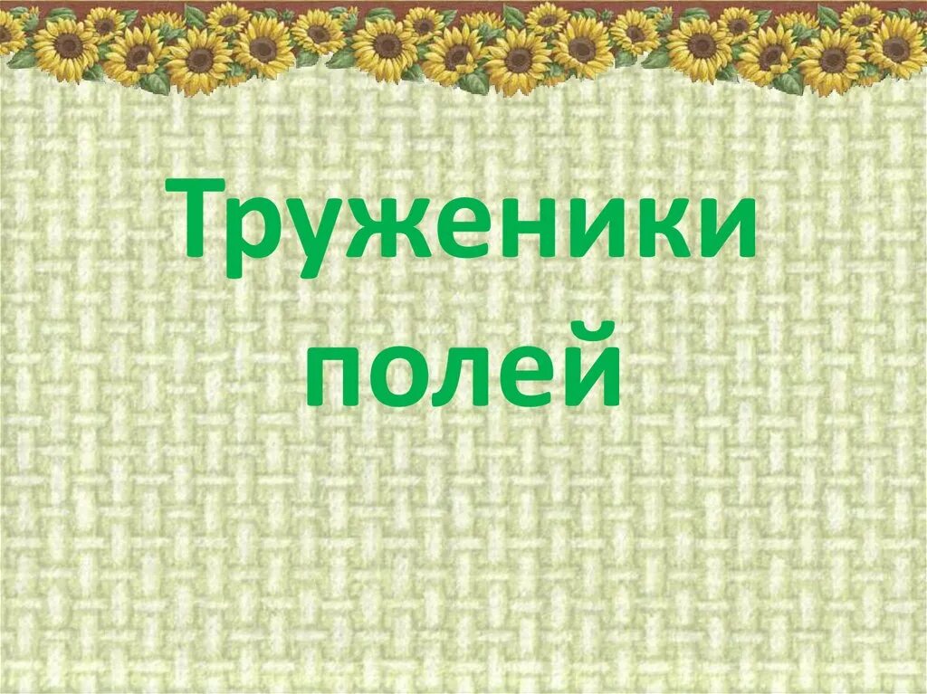 Труженики кубани 3 класс кубановедение. Труженики Кубани. Труженики полей. Презентация труженики полей. Земляки труженики Кубани.