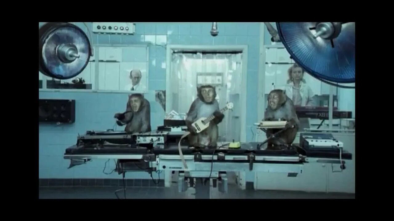 Where s your head at basement jaxx. Basement jaxx where&#039;s your head at. basement jaxx - where&#039;s your. wheres your head at. basement jaxx обезьяны.