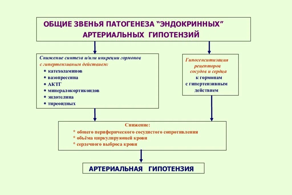 Механизм развития артериальной гипотензии. Хроническая артериальная гипотензия патогенез. Основные механизмы развития артериальной гипотензии. Механизм развития ортостатической гипотензии. Развитие гипотонии