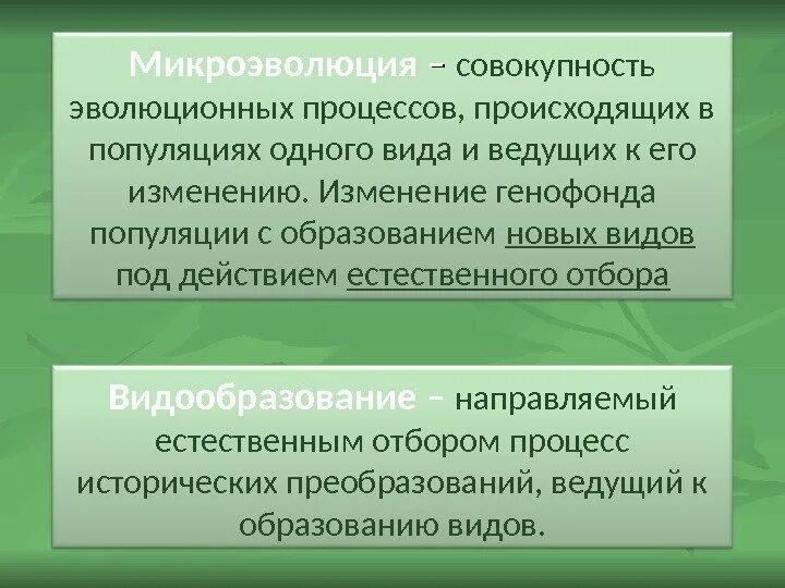 Совокупность бабочек одной популяции. Эволюционные процессы, происходящие в популяции.. Микроэволюция. Эволюционные процессы в популяции. Эволюционные процессы эволюционные процессы.