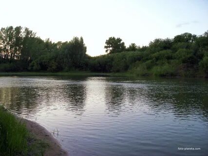 Погода в явленке