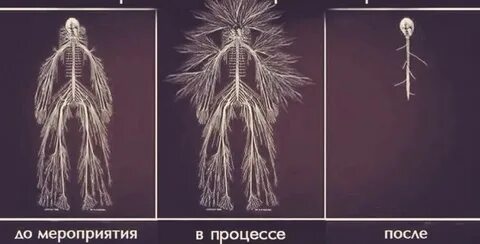 Нервная система после ковида