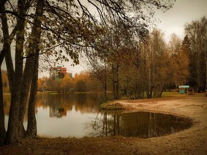 Сарово