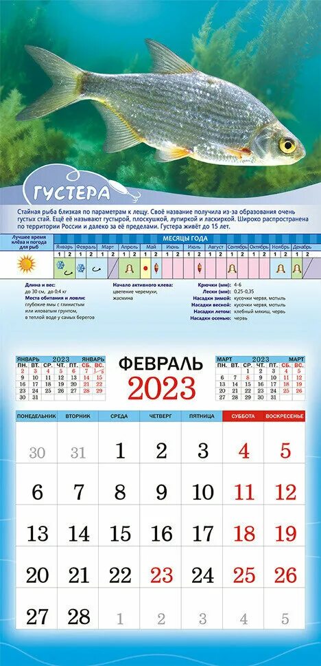 Рыболовный календарь на 2023 год. Календарь рыболова 2023. Календарь рыбака 2023.