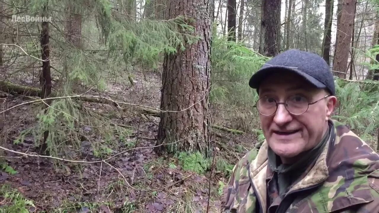 Гельмут вайссвальд. Гельмут коп последнее. Гельмут вайссвальд. Гельмут коп последнее. Гельмут вайссвальд коп по войне 2021.