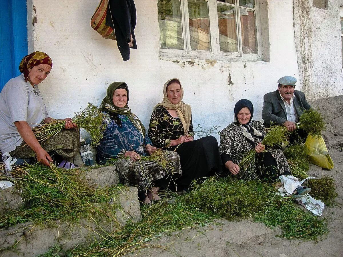 Нукуш Чародинского района. Село Гилиб Чародинский район. Чародинский село Дусрах. Арчиб Чародинский район. Арием погода