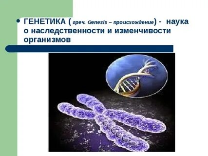 Презентация 10 класс генетика наука о наследственности