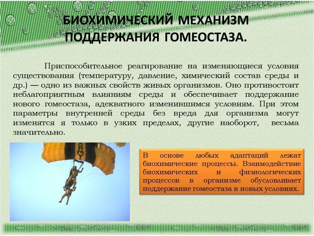 Условия существования организма человека
