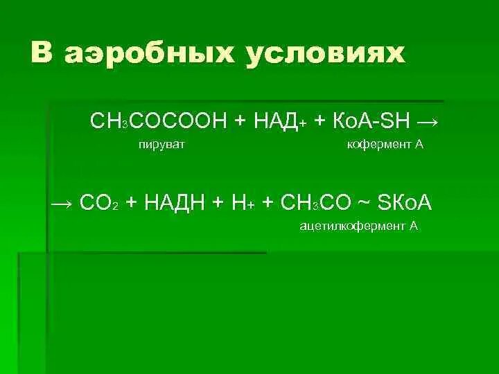 Сн3сосоон. (Сн3со)2о. Сн3-сн3. Сн3сн2соосн3+о2. Сн3 сн2 н2о