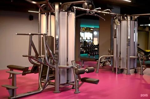 Fitnation москва