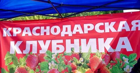 Клубника екатеринбург