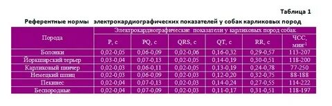 Сколько ударов сердца у собаки