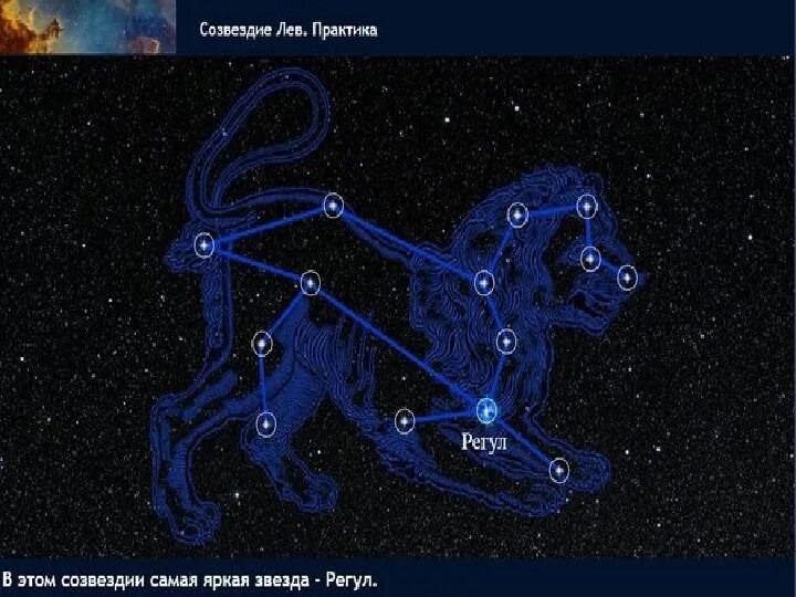 Регул какая звезда. Созвездие Льва регул. Звезда регул в созвездии Льва. Как выглядит Созвездие Льва. Звезда регул в созвездии Льва фото.