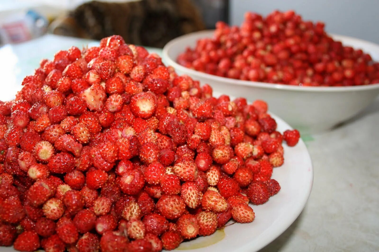 Жир жилэге перевод на русский. Земляника лесная. Татарская клубника. Жир жилэге перевод на русский. Клубника полевая.