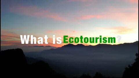 What is your attitude to ecotourism