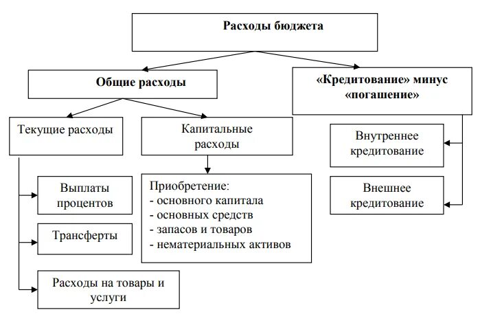 Расходы государственных муниципальных учреждений. Основные расходы бюджета. Текущие и капитальные расходы бюджета. Основные расходы госбюджета. Классификация государственных расходов.