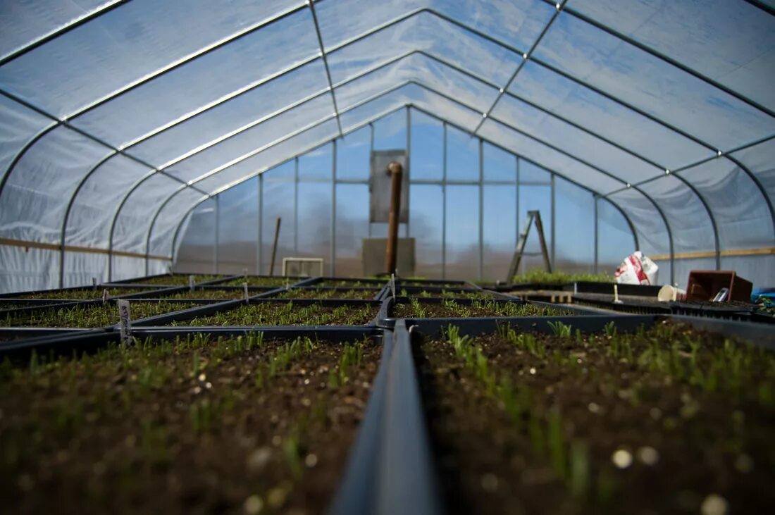 Тепландия теплицы. Теплица Greenhouse. Круглогодичная теплица. Весенние теплицы. Подготовка теплицы весной к новому сезону