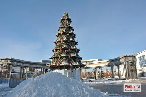 Ели тюмень