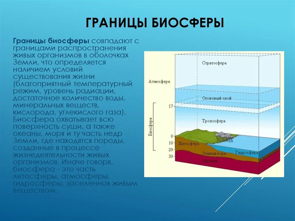 Живая оболочка земли где существует жизнь. Биосфера стратосфера литосфера. Границы биосферы литосферы гидросферы. Оболочки земли литосфера гидросфера атмосфера Биосфера. Биосфера гидросфера атмосфера литосфера схема.