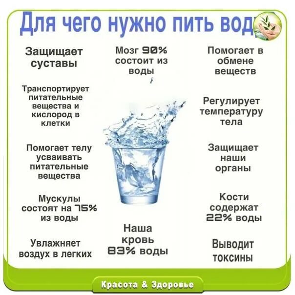 До скольки пить воду. Для чего нужно пить воду. Причины пить воду. Мотивация для питья воды. Дляч его нужно ипь вожц.