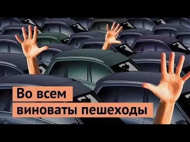 Виноваты пешеходы