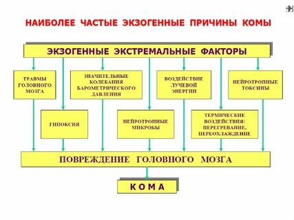 Кома происхождение