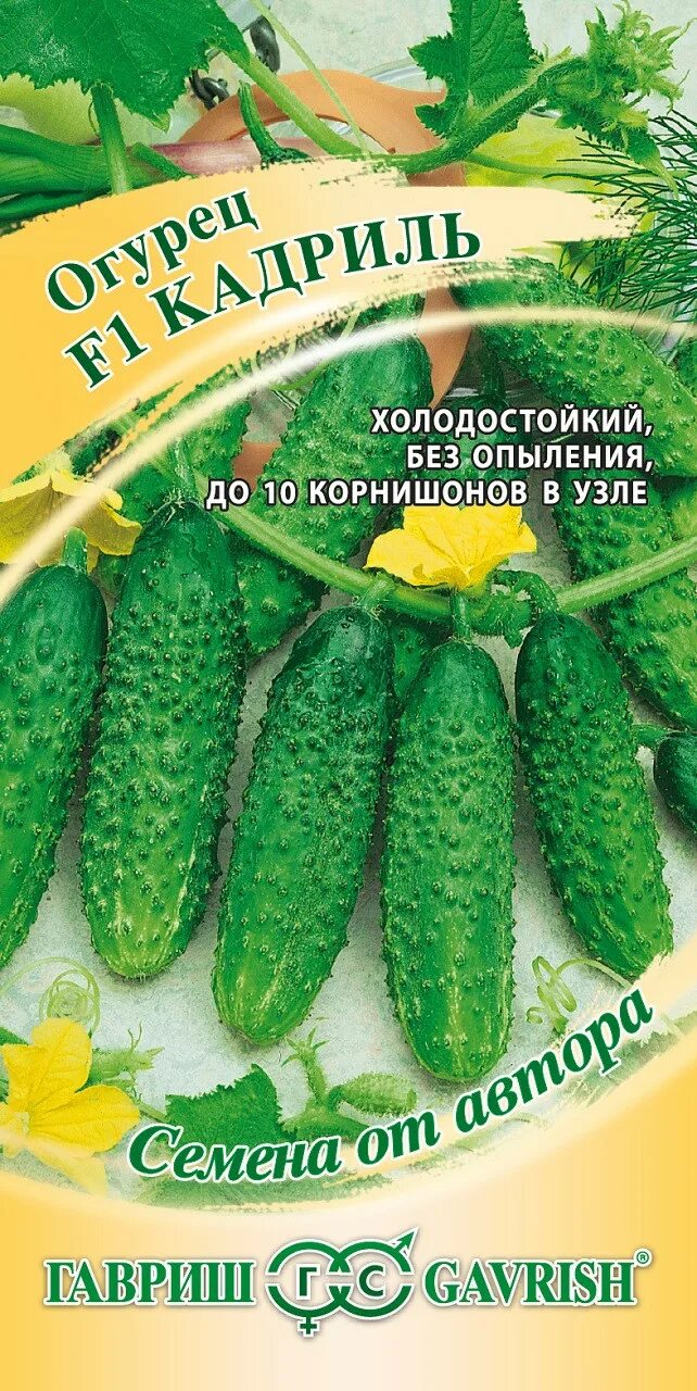 Сорт огурцов кадриль. Огурец бенефис f1. Огурец кадриль f1. Огурец f1 изумрудные серёжки 20шт(гавриш). Огурец кадриль f1 10 шт.
