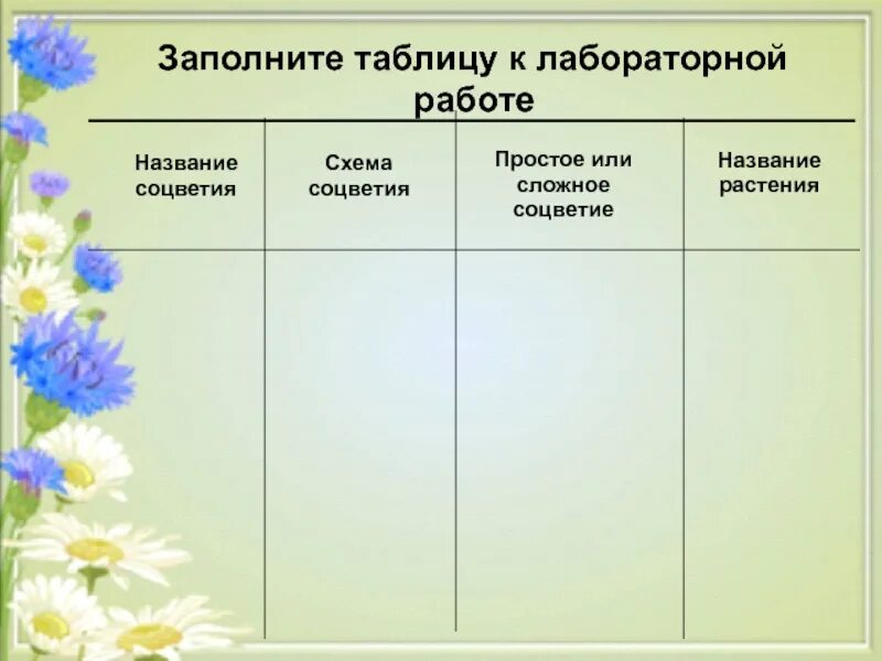 Лабораторная работа определить соцветие. Соцветия таблица. таблица по биологии соцветия. таблица по биологии 6 класс соцветия. лабораторная работа соцветия.